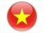 vietnam flag icon